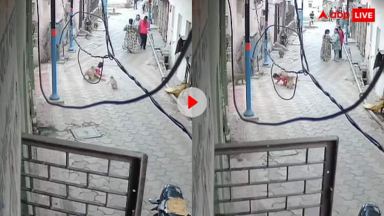 Monkeys attack on the five year child due to which the child got injured video viral पांच साल के मासूम पर बंदरों ने किया हमला, वहीं खड़ी तमाशा देखती रही महिलाएं- वीडियो हो रहा वायरल