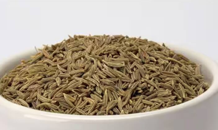 ਭੋਜਨ ਦਾ ਸਵਾਦ ਵਧਾਉਣ ਦੇ ਨਾਲ-ਨਾਲ ਇਹ ਸਿਹਤ ਲਈ ਵੀ ਬਹੁਤ ਫਾਇਦੇਮੰਦ ਹੈ। ਜੇਕਰ ਤੁਸੀਂ ਰੋਜ਼ਾ ਜੀਰਾ ਖਾਂਦੇ ਹੋ ਤਾਂ ਤੁਸੀਂ ਕਈ ਬਿਮਾਰੀਆਂ ਤੋਂ ਬਚ ਸਕਦੇ ਹੋ। ਆਓ ਜਾਣਦੇ ਹਾਂ ਰੋਜ਼ਾਨਾ ਕਿੰਨਾ ਜੀਰਾ ਖਾਣਾ ਚਾਹੀਦਾ ਹੈ ਅਤੇ ਇਸ ਨਾਲ ਕਿਹੜੀਆਂ ਬਿਮਾਰੀਆਂ ਦੂਰ ਹੁੰਦੀਆਂ ਹਨ।