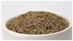 જો તમે રોજ જીરું ખાશો તો આ બીમારીઓથી દૂર રહેશો, જાણો દરરોજ કેટલું જીરું ખાવું જોઈએ?