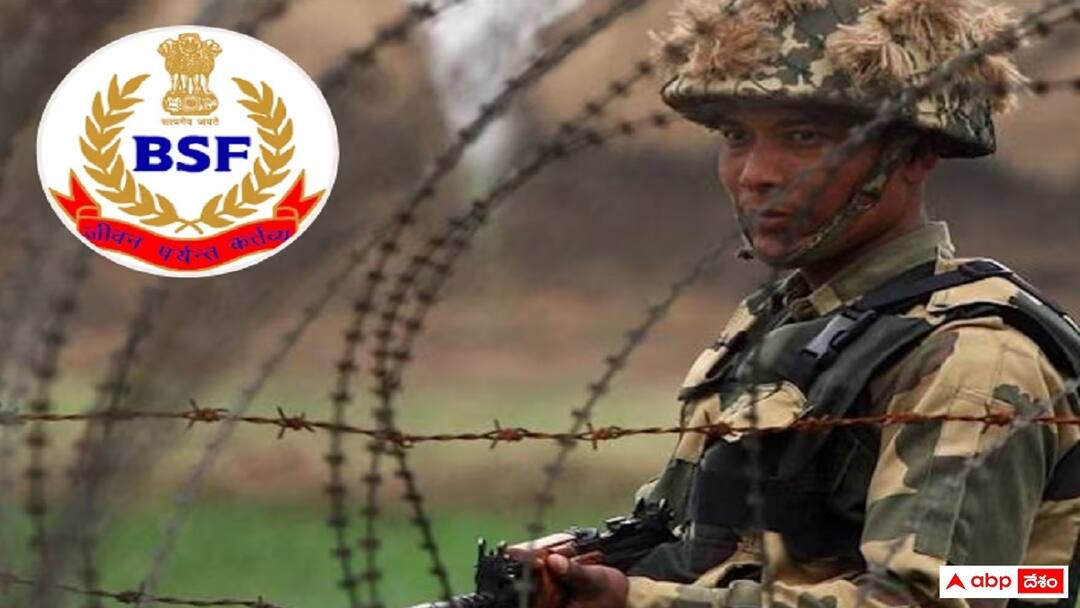 BSF Recruitment: బోర్డర్ సెక్యూరిటీ ఫోర్స్లో 141 కానిస్టేబుల్, సబ్-ఇన్స్పెక్టర్ ఉద్యోగాలు, దరఖాస్తుకు మరో అవకాశం Border Security Force inviting applications for the recruitment of group b and group c posts BSF Recruitment: బోర్డర్ సెక్యూరిటీ ఫోర్స్లో 141 కానిస్టేబుల్, సబ్-ఇన్స్పెక్టర్ ఉద్యోగాలు, దరఖాస్తుకు మరో అవకాశం