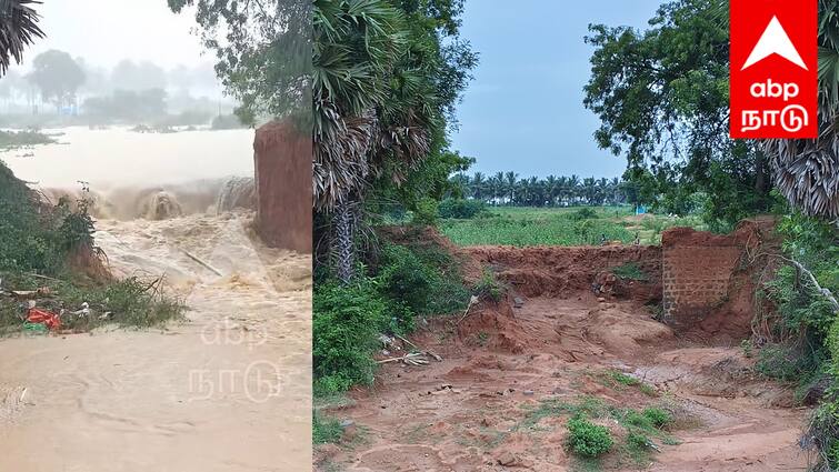 Villupuram news Lake sluice break in Kandadu village near Marakanam - TNN ஏரி மதகு உடஞ்சி போச்சு... விவசாயம் கூட பண்ணமுடியல... திரும்பவும் ஊருக்குள்ள தண்ணி வரும் சார்... கண்ணீரில் கந்தாடு மக்கள்