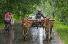 West Bengal Weather : সপ্তাহের প্রথম দিনই তুমুল বৃষ্টি কয়েক জেলায়, কলকাতায় কোথায় কেমন বর্ষণ?