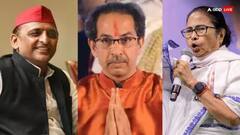 गांधी परिवार को छोड़ अनंत राधिका की शादी में पहुंच गया पूरा INDIA गठबंधन, क्या हुए अलायंस के दो फाड़ या मामला है कुछ और?