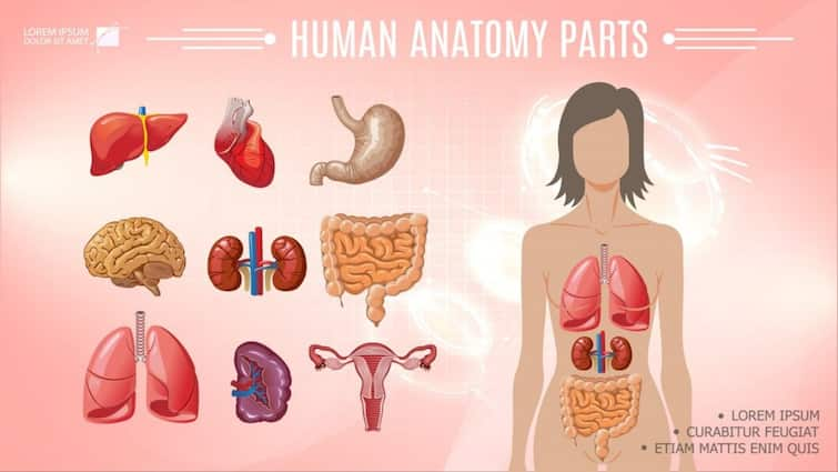 Science has finally revealed the secret and explained why these two body parts continue to grow throughout life.