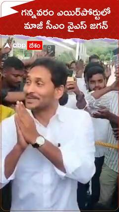 గన్నవరం ఎయిర్‌పోర్టులో మాజీ సీఎం వైఎస్ జగన్