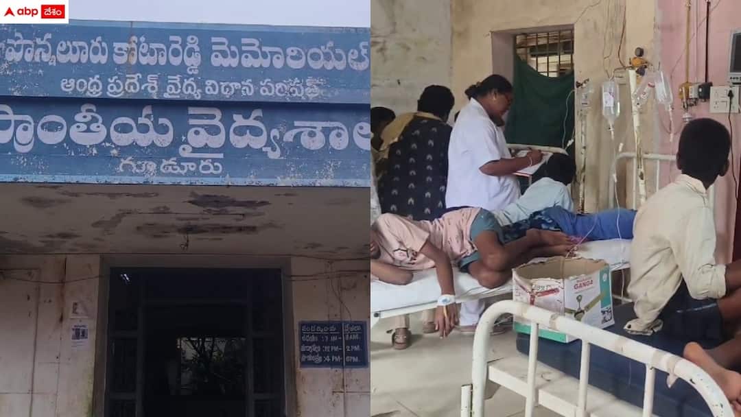 Naidupeta News: గురుకుల పాఠశాలలో 100 మంది విద్యార్థులకు అస్వస్థత - తిరుపతి జిల్లాలో ఘటన 100 students sick in gurukul school in naidupeta in tirupati district latest updates Naidupeta News: గురుకుల పాఠశాలలో 100 మంది విద్యార్థులకు అస్వస్థత - తిరుపతి జిల్లాలో ఘటన