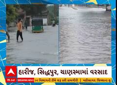 Patan News | પાટણ શહેર અને જિલ્લામાં મન મૂકીને વરસ્યા મેઘરાજા, નીચાણવાળા વિસ્તાર થયા જળબંબાકાર