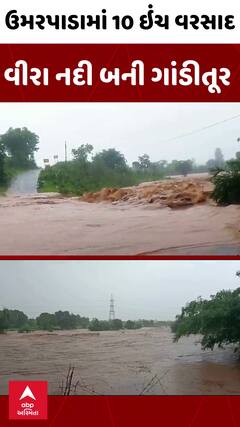 Umarpada Rain | ઉમરપાડામાં આભ ફાટ્યું, વીરા નદી બની ગાંડીતૂર