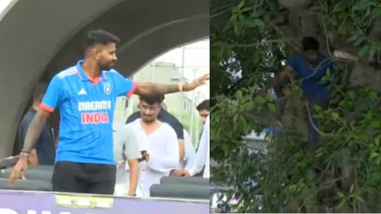 fan on a tree during hardik pandya road show vadodara to click pictures goes viral social media Hardik Pandya Road Show: हार्दिक की दीवानगी ऐसी, फैन ने नहीं की जान की परवाह; पेड़ पर चढ़कर किया ये काम