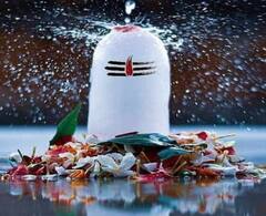 Sawan 2024: ਦਸ਼ਕਾਂ ਬਾਅਦ ਸਾਵਣ 'ਤੇ ਬਣ ਰਿਹਾ ਹੈ ਦੁਰਲੱਭ ਯੋਗ, ਚਮਕੇਗੀ ਇਨ੍ਹਾਂ 4 ਰਾਸ਼ੀਆਂ ਦੀ ਕਿਸਮਤ