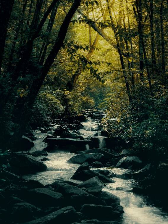 यहां उल्टा बहता है पानी, यकीन नहीं कर पाते लोग