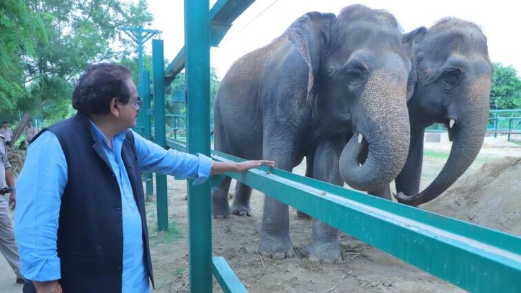 Mathura Union Minister SP Singh Baghel reached Elephant Conservation Center elephants enquired about condition ann Mathura News: केंद्रीय मंत्री एसपी सिंह बघेल पहुंचे हाथी संरक्षण केंद्र, हाथियों का जाना हाल