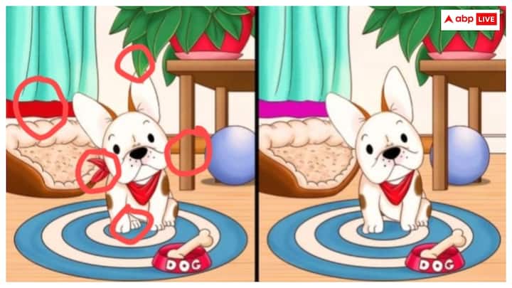 पूछी गई तस्वीर की पहेली का जवाब दिया जा चुका है. जिन लोगों ने तय समय पर इसे खोजा उन्हें बधाई, जो नहीं खोज पाए उनके लिए बेटर लक नेक्स्ट टाइम.