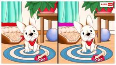 पूछी गई पहेली में एक जैसी दिखने वाली 2 तस्वीरें हैं, इनमें छिपे हैं 5 अंतर, 10 सेकेंड में दीजिए जवाब