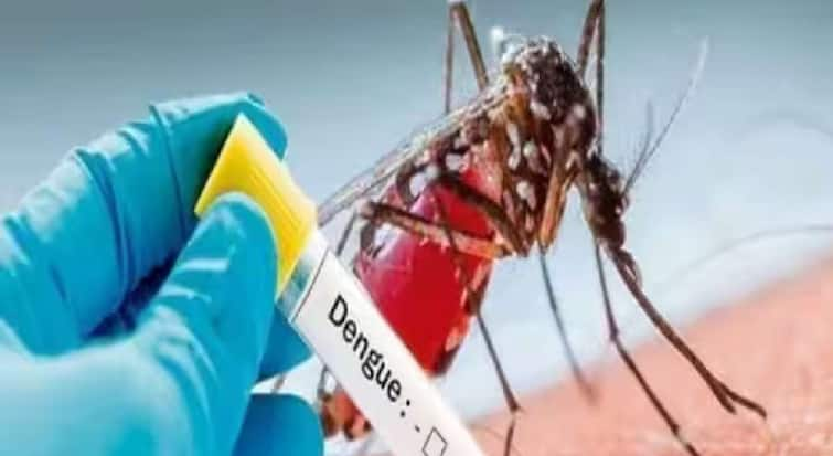 Nashik Dengue Update 200 patients found in city from last 15 days of july Nashik Municipalities work on action mode maharashtra marathi news Nashik Dengue Update : नाशिकमध्ये धोक्याची घंटा, 15 दिवसांत 200 डेंग्यूचे रुग्ण; महानगरपालिका फास्ट ट्रॅकवर कामाला