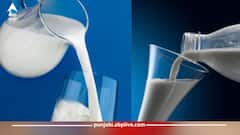 Milk Purity Test: ਮਿਲਾਵਟੀ ਦੁੱਧ ਪੀਣਾ ਸਿਹਤ ਲਈ ਨੁਕਸਾਨਦਾਇਕ...ਇੰਝ ਦੋ ਮਿੰਟਾਂ 'ਚ ਕਰੋ ਚੈੱਕ ਦੁੱਧ ਅਸਲੀ ਜਾਂ ਨਕਲੀ?