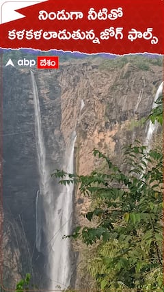 నిండుగా నీటితో కళకళలాడుతున్న జోగ్ ఫాల్స్