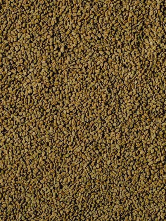 मेथी दाना खाने के एक नहीं कई हैं फायदे