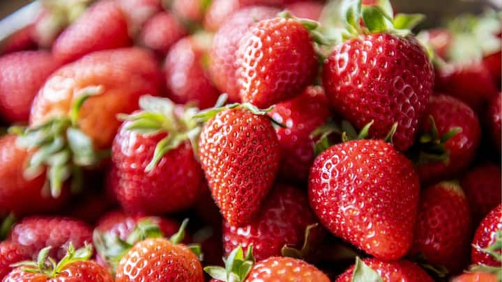 Strawberry Gardening: अगर आपको स्ट्रॉबेरी पसंद है तो आप अपने घर पर ही इसे उगा सकते हैं. इसके लिए आपको कुछ जरूरी बातों का ध्यान रखना होगा.