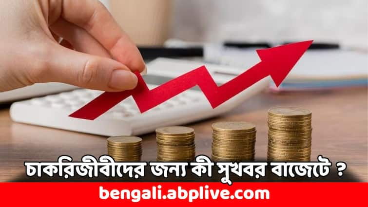 Union Budget 2024 Take Home Salary to be increased for Salaried People Budget 2024: টেক-হোম স্যালারি বাড়তে পারে ? চাকরিজীবীদের কী সুখবর দেবেন অর্থমন্ত্রী ?