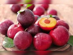 Monsoon Fruits: ચોમાસામાં આવતું આ ફળ રાસબેરી સ્વાસ્થ્ય માટે અમૃત, જાણા સેવનના ગજબ ફાયદા