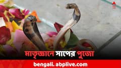 মনসা পুজোয় কী করলে জাগ্রত হয় কণ্ডুলিনী? বদলে যায় ভাগ্য
