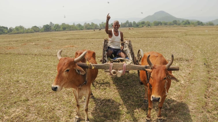 Agriculture Budget 2024 Agriculture Budget 2024 Nirmala Sitharaman announces big agri push Agriculture Budget 2024: ​ બજેટમાં ખેડૂતો માટે સરકારે ખોલ્યો ખજાનો, પીએમ કિસાન ક્રેડિટ કાર્ડ યોજના પર મોટી જાહેરાત