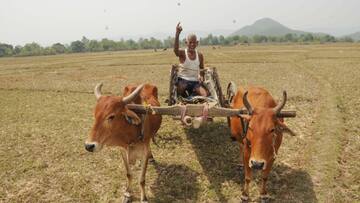Agriculture Budget 2024: ​ બજેટમાં ખેડૂતો માટે સરકારે ખોલ્યો ખજાનો, પીએમ કિસાન ક્રેડિટ કાર્ડ યોજના પર મોટી જાહેરાત