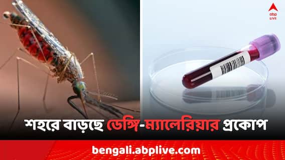 WB Dengue Malaria Update: রাজ্যে এখনও পর্যন্ত ডেঙ্গি আক্রান্ত ৪৪১ ! ম্যালেরিয়ায় পজিটিভ রিপোর্ট কত জনের ?