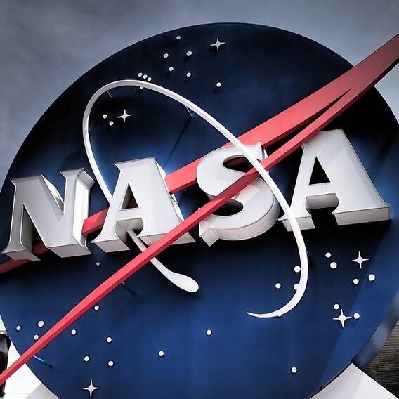 अंतरिक्ष में अपना अंडा बचा रही है पेंग्विन,  NASA ने भेजी तस्वीर