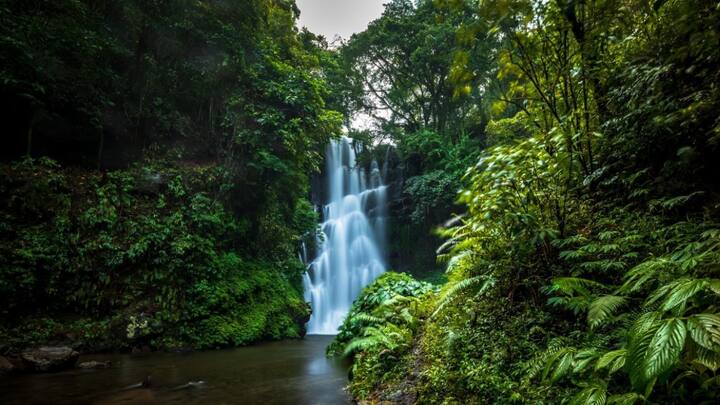 Sambangan Secret Gardens: Sambangan Secret Garden is a true hidden gem. Surrounded by lush greenery, it's the perfect place to relax and unwind. Here, you can visit some of Bali's most stunning waterfalls and a crystal-clear lagoon. Explore magnificent scenery, cultural villages, and breathtaking waterfalls in this serene paradise. (Image source: Twitter/ Majalah Get Lost)