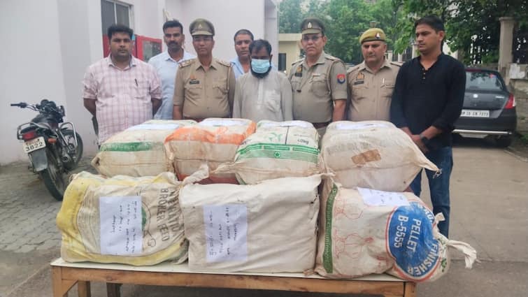 Noida Police arrested smuggler with 205 kg ganja and take action ann Noida Crime: नोएडा पुलिस को बड़ी सफलता, 205 किलो गांजा किया बरामद, तस्कर भी गिरफ्तार