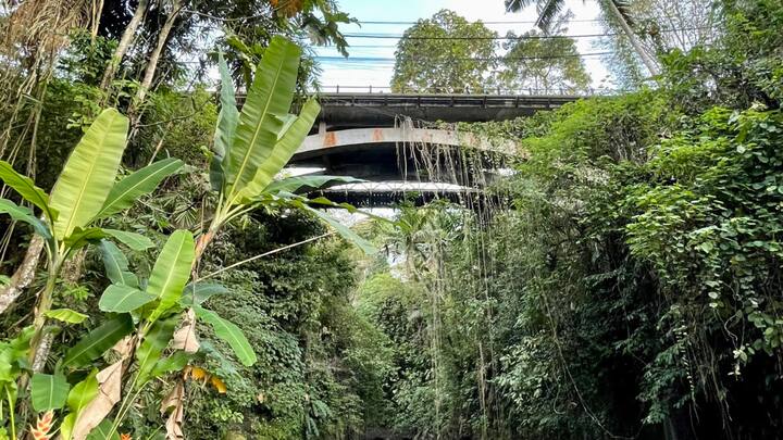 Bukit Campuhan Trail: The Campuhan Ridge Walk is a hiking trail in Ubud. It is located in the center of Bali Island. This beautiful walk is filled with greenery and hills, making it incredibly picturesque even on cloudy days. The trail offers stunning panoramic views of the surrounding valleys. (Image source: Twitter/ Alasdair McKenzie)