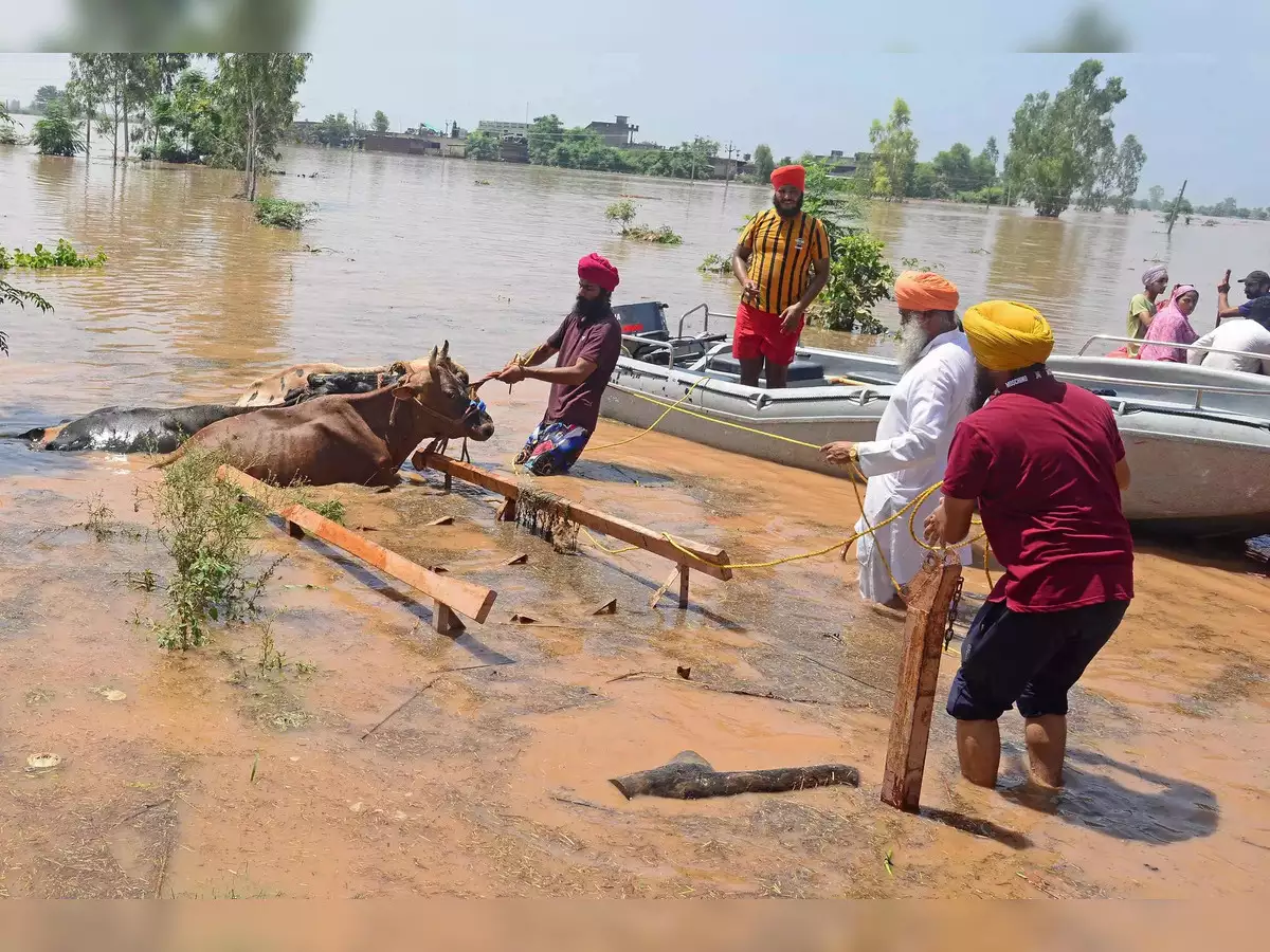 Flood: ਪੰਜਾਬ 'ਚ ਹੜ੍ਹਾਂ ਦਾ ਖ਼ਤਰਾ ! ਸਰਕਾਰ ਹੋਈ ਚੌਕੰਨੀ, 23 ਜ਼ਿਲ੍ਹਿਆਂ 'ਚ ਕੰਟਰੋਲ ਰੂਮ ਬਣਾਏ, ਦੇਖੋ ਤੁਹਾਡੇ ਜਿਲ੍ਹੇ ਦਾ ਕੀ ਹੈ ਸਹਾਇਤਾ ਨੰਬਰ Flood: ਪੰਜਾਬ 'ਚ ਹੜ੍ਹਾਂ ਦਾ ਖ਼ਤਰਾ ! ਸਰਕਾਰ ਹੋਈ ਚੌਕੰਨੀ, 23 ਜ਼ਿਲ੍ਹਿਆਂ 'ਚ ਕੰਟਰੋਲ ਰੂਮ ਬਣਾਏ, ਦੇਖੋ ਤੁਹਾਡੇ ਜਿਲ੍ਹੇ ਦਾ ਕੀ ਹੈ ਸਹਾਇਤਾ ਨੰਬਰ