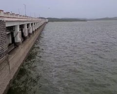 Shetrunji Dam: ભારે વરસાદથી ભાવનગરના શેત્રુંજી ડેમમાં આવ્યા નવા નીર, હાલમાં 34 હજાર ક્યૂસેક પાણીની આવક