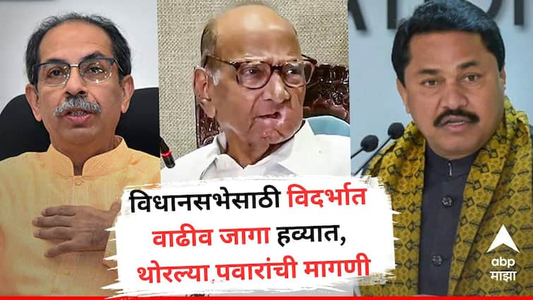 Ncp Sharad Pawar Demand For Upcoming Assembly Election more seats in Vidarbha Nationalist Congress Party Sharadchandra Pawar will increase headache for Congress NCP Sharad Pawar Demand: विदर्भात वाढीव जागा हव्यात, थोरल्या पवारांची मागणी; पवारांच्या पक्षाचा हट्ट काँग्रेसची डोकेदुखी वाढवणार?