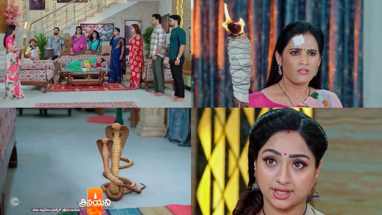 trinayani serial today july 16th episode written update in telugu Trinayani Serial Today July 16th: 'త్రినయని' సీరియల్:చితి పెట్టడానికి సిద్ధమైన సుమన.. నాగయ్య, పెద్దబొట్టమ్మలకు అండగా ఉలూచి! 