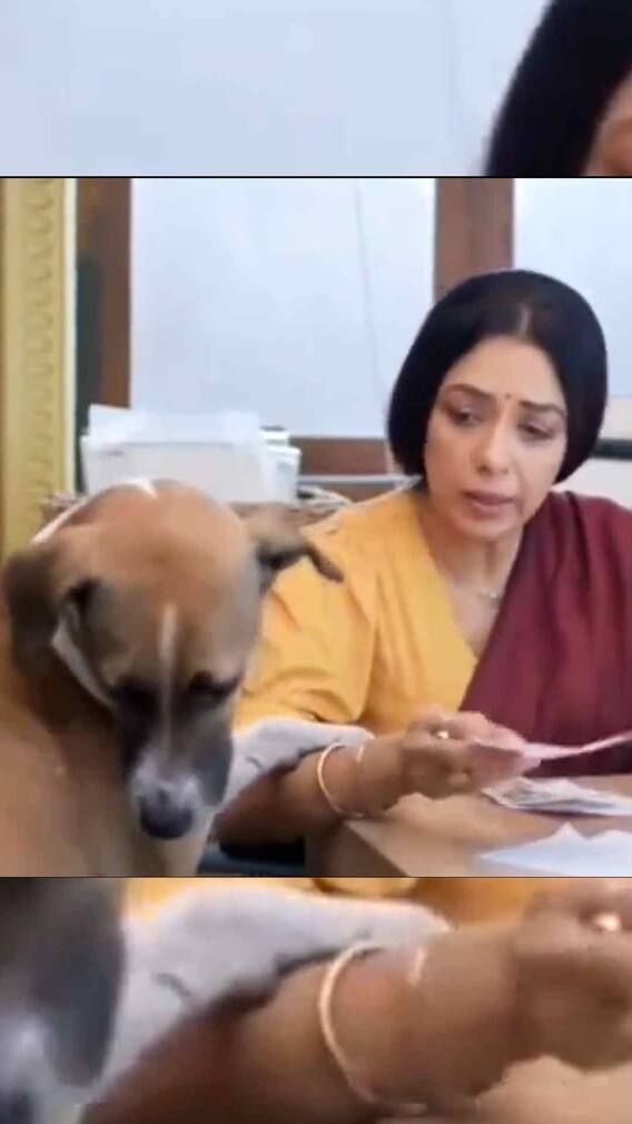 अनुपमा में आया नया मेहमान, रुपाली गांगुली ने पोस्ट किया BTS वीडियो