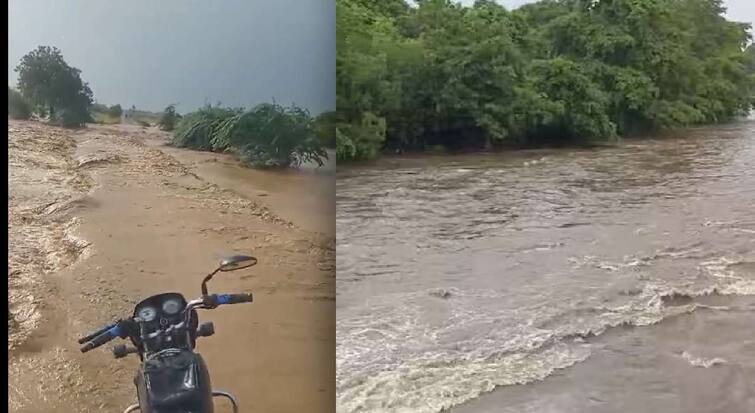 Maharashtra Rain Update news Heavy Rain in vidarbha along with akola ncp MLA Amol Mitkari s village also lost contact monsoon updates maharashtra marathi news Maharashtra Rain Update : राज्यात मुसळधार पावसाचा हाहाकार! आमदार अमोल मिटकरींच्या गावाचाही संपर्क तुटला