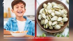 Kids Health: ਬੱਚਿਆਂ ਨੂੰ ਖਵਾਓ ਪਿਸਤਾ, ਦਿਮਾਗ ਹੋਵੇਗਾ ਤੇਜ਼ ਅਤੇ ਮਿਲਣਗੇ ਕਈ ਹੋਰ ਫਾਇਦੇ