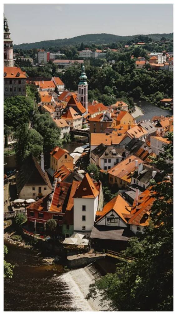 शादी करने पर यहां मिलती है सरकारी नौकरी