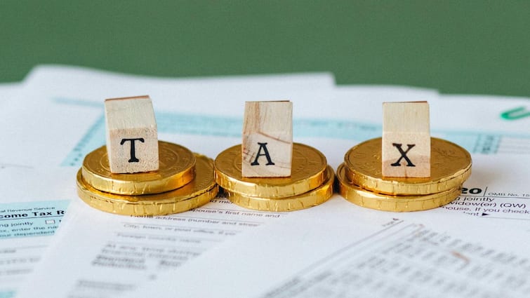 Tax-Free Income in India For 2024-25 ITR Here's A Complete Guide Tax-Free Income Sources In India For 2024-25: Here's A Complete Guide