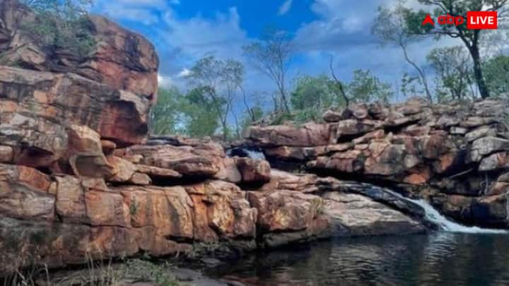 ऑस्ट्रेलिया में कुदरत का एक बेहतरीन नमूना देखने को मिला है. दरअसल, ऑस्ट्रेलिया में एक खास तरह का मेंढक पाया गया है जिसकी त्वचा नीली है.