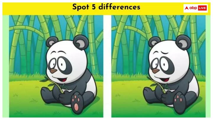 पहेलियां सुलझाना हमेशा से मजेदार रहा है. यह आपके दिमाग की परिपक्वता को चुनौती देता है और दर्शाता है कि आप कितने परिपक्व हैं. इसलिए आज हम आपके लिए एक ऐसी पहेली लेकर आए हैं जिससे आपके दिमाग के तार खुल जाएँगे.