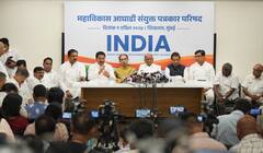 Elections 2024: चुनाव से पहले इस राज्य में आ गए सर्वे के नतीजे, उड़ा दी I.N.D.I.A. और NDA की नींद!