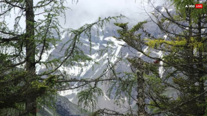 Travel: अगर बरसात के मौसम में आप भी कहीं घूमने जाने का प्लान कर रहे हैं, तो यह खबर आपके लिए है. आज हम आपको बताएंगे उन जगहों के बारे में जहां आपको बरसात में जाने से बचना चाहिए.