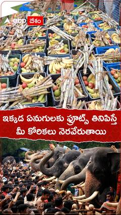 ఇక్కడ ఏనుగులకు ఫ్రూట్స్ తినిపిస్తే మీ కోరికలు నెరవేరుతాయి..