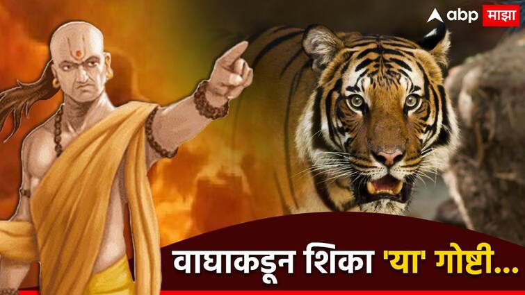 Chanakya Niti learn things from Tiger to become successful in life success keys mantra marathi news Chanakya Niti : आयुष्यात कधीच पराभव होणार नाही, वाघाकडून शिका 'या' बहुमूल्य गोष्टी; यशस्वी जीवनाचा मूलमंत्र चाणक्य सांगतात...