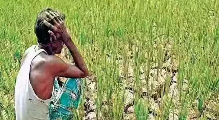 Vidarbha Farmer Suicide in 6 districts of Vidarbha 27 thousand 324 farmers have committed suicide since 2001 and 618 farmerssuicide in the last 6 months maharashtra marathi news Farmer Suicide : धक्कादायक! विदर्भातील 6 जिल्ह्यात 2001 पासून आतापर्यंत 27 हजार 324, तर गेल्या 6 महिन्यात 618 शेतकऱ्यांच्या आत्महत्या