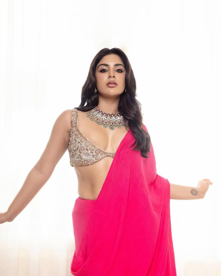 సంయుక్త మీనన్ ( image credit :Samyuktha Menon/ Instagram)